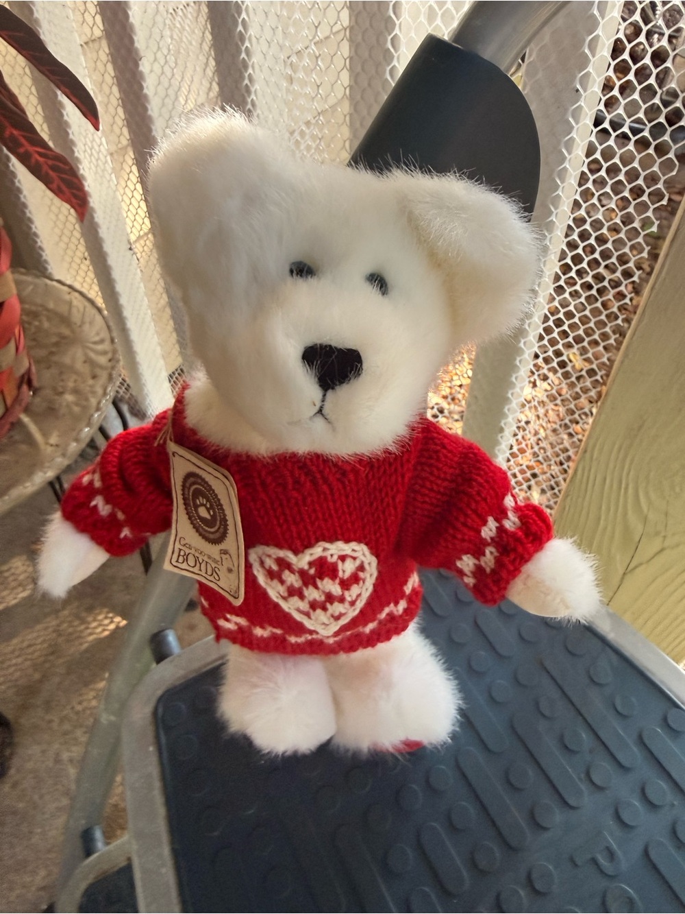 Boyd’s Bear